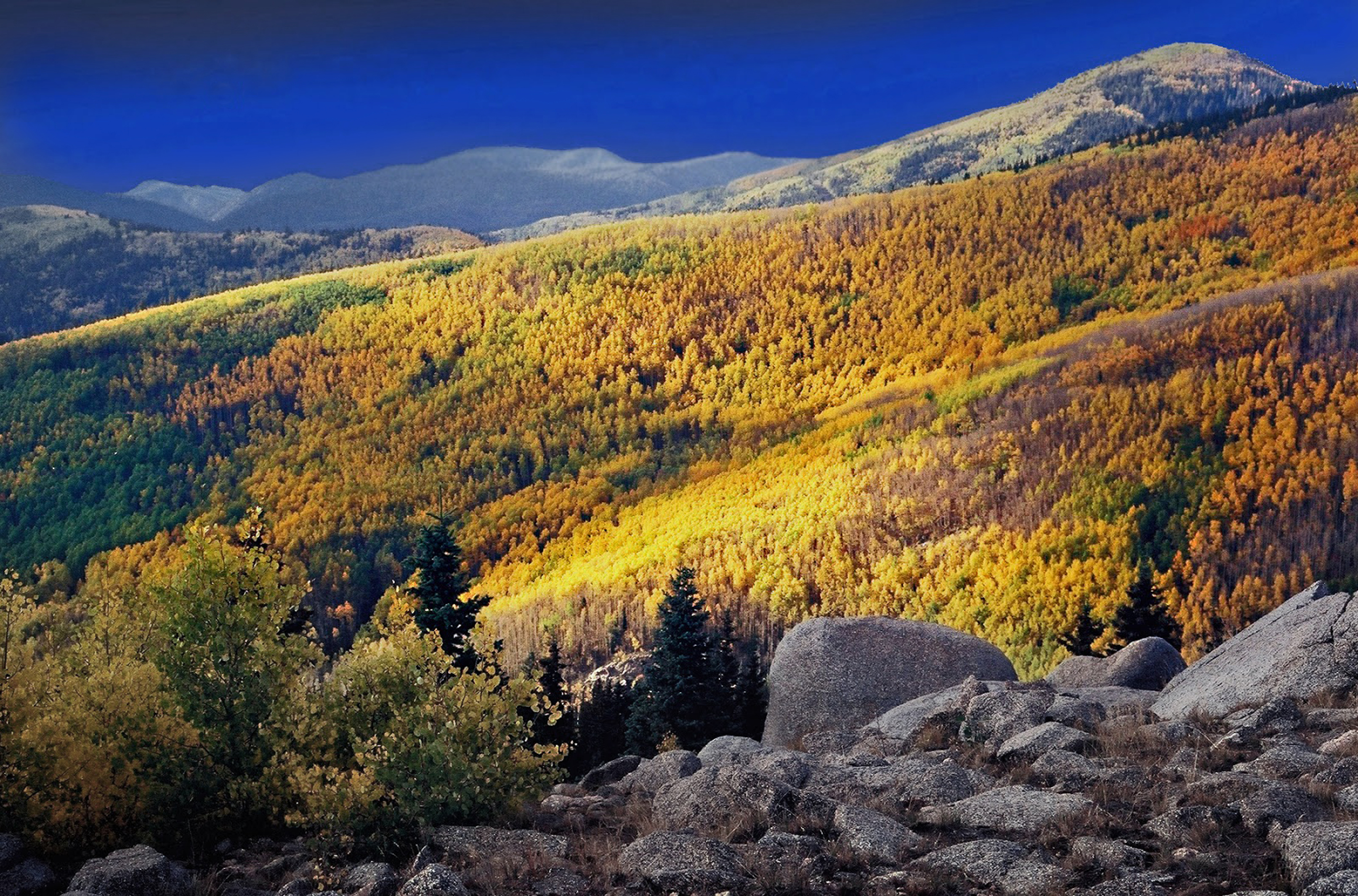 Aspen Hillside